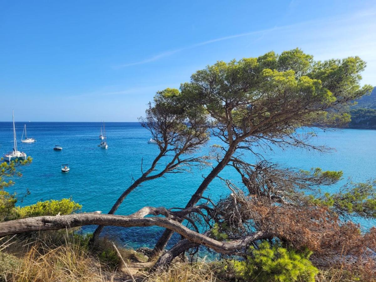4b Formentor Sea View & Pool In Canamel Appartement Canyamel (Mallorca)